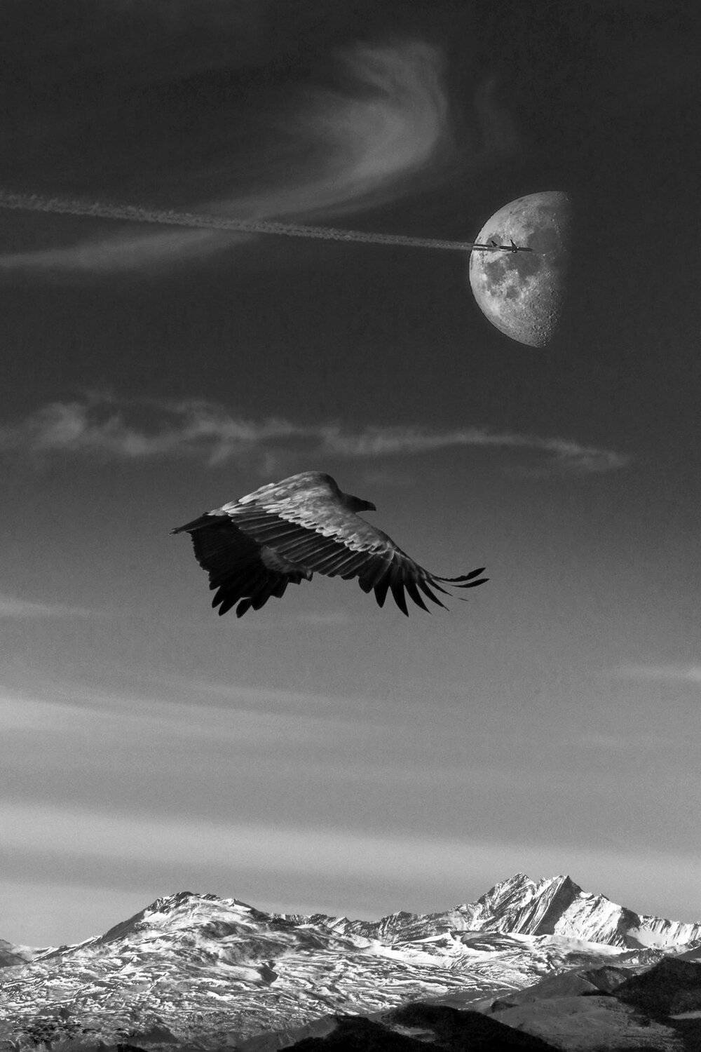 абстракция,фантазия,концептуальное,, Marat Magov