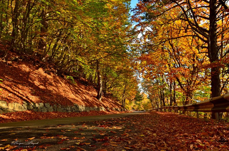осень, октябрь, крым, дорога на ай-петри, листва, серебряная беседка Октябрь. Дорога на Ай-Петриphoto preview