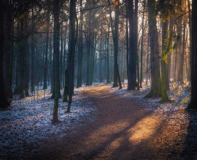 В парке декабрьphoto preview
