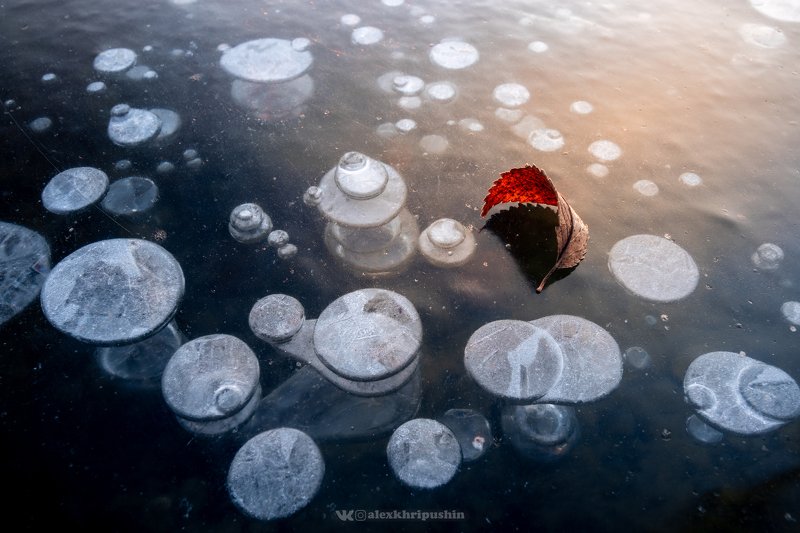 Frozen Bubblesphoto preview