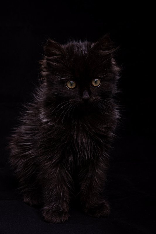 Вихърphoto preview