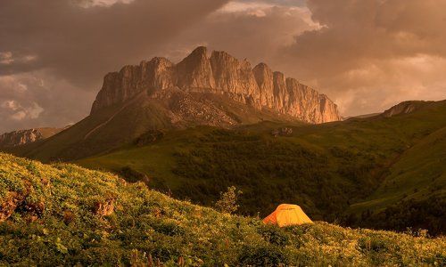 КТО В ТЕРЕМОЧКЕ ЖИВЕТ ? КТО В НЕВЫСОКОМ ЖИВЕТ ?