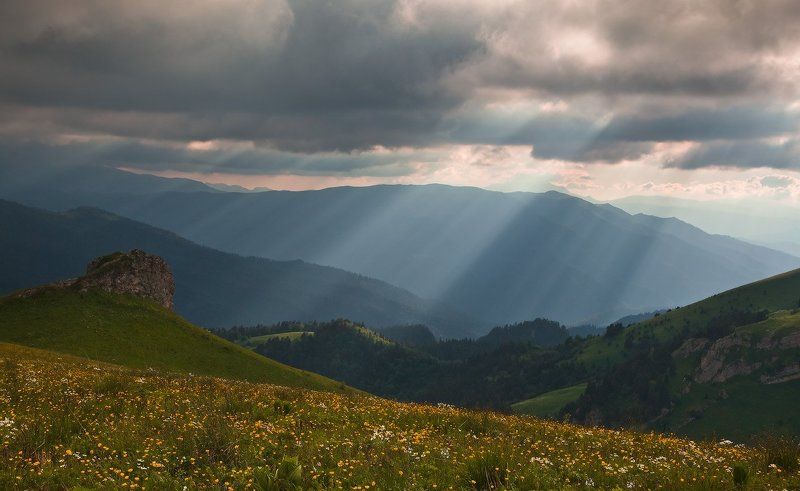 В поисках светаphoto preview