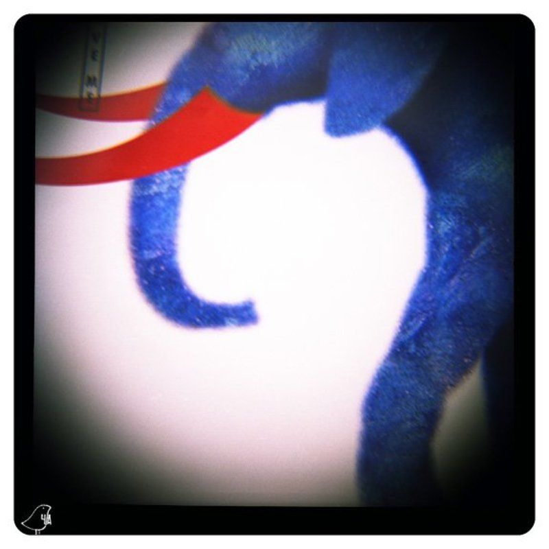 diana+ *photo preview