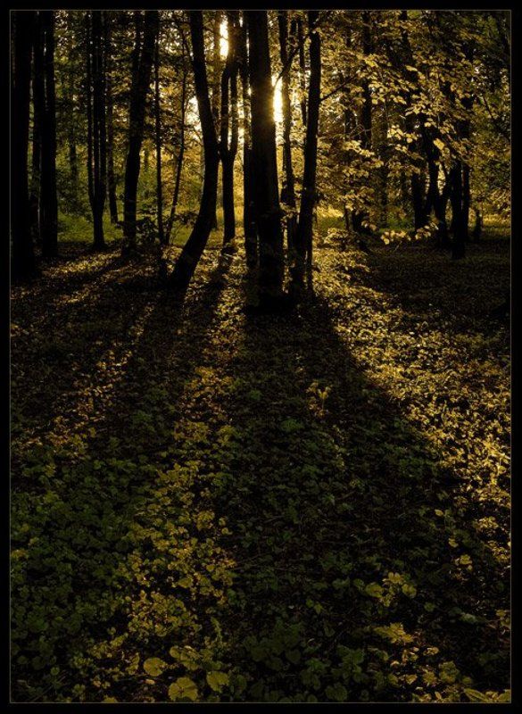 Гармония света и тени...photo preview