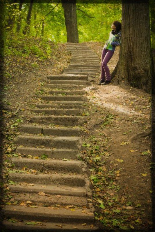 лестница, лес, волшебство, осень Autumn Magicphoto preview