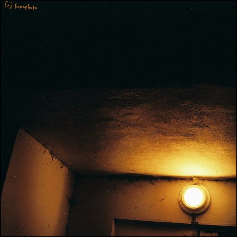 пленка, 6х6 _фрагменты подьезда /из серии коты и ночь/photo preview