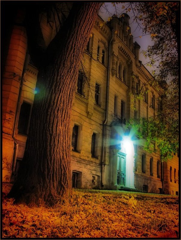 *  *  *photo preview