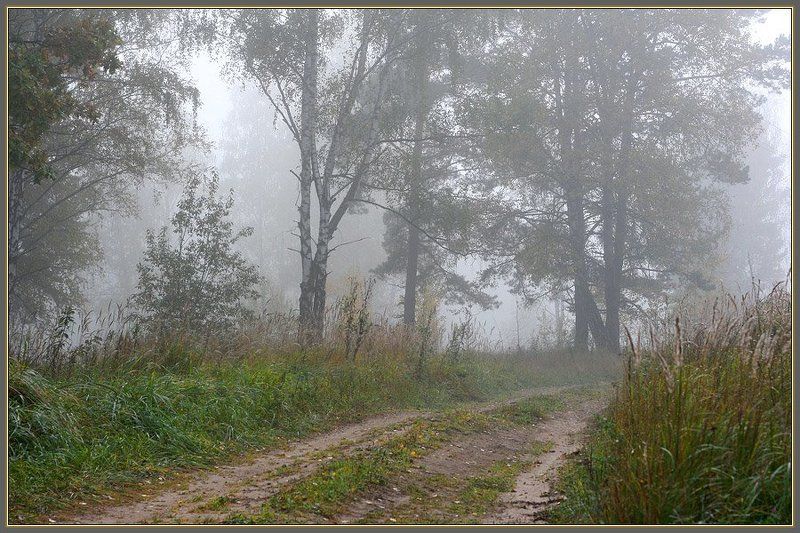 Дорожка в туманеphoto preview