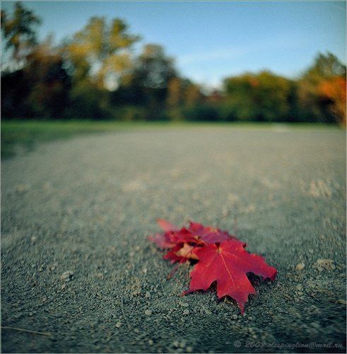 The depth of vision....