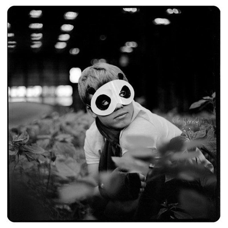 киев88 *photo preview