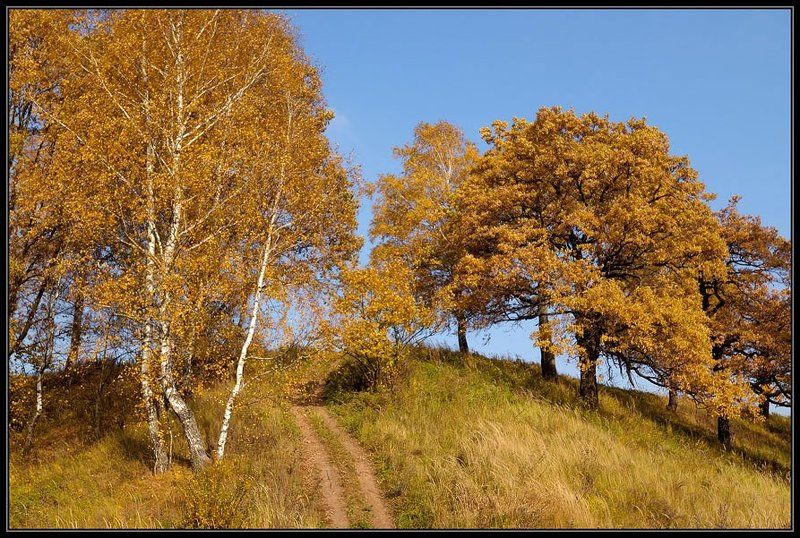 осень, холм ***photo preview