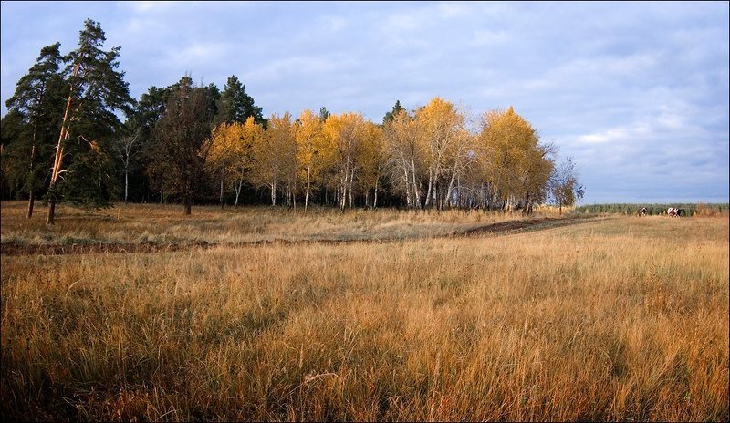 Вечерphoto preview