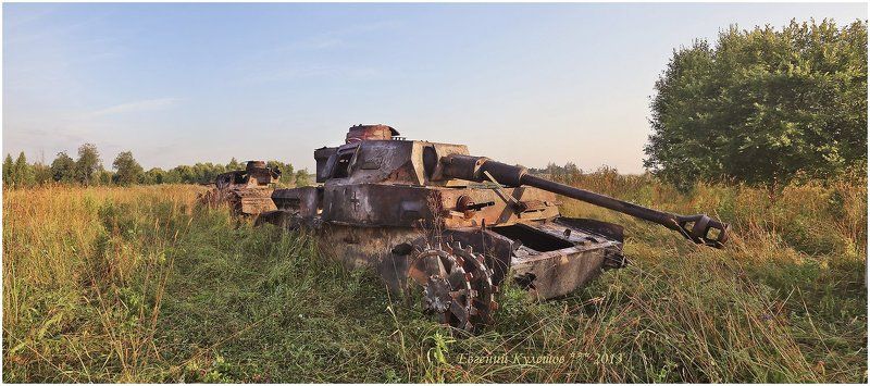 А степная трава пахнет горечью....photo preview