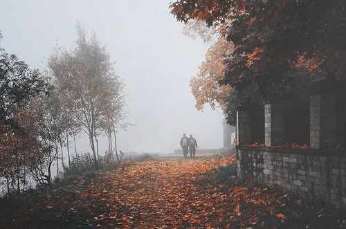 Всё сразу.