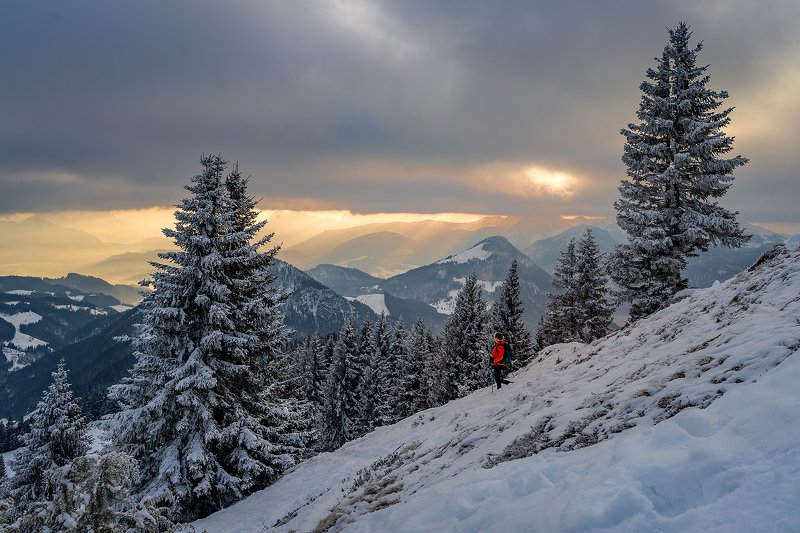 альпы, зима, поход, горы, облака, дерево, солнце, feichteck Альпы на закатеphoto preview