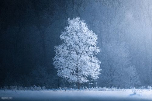 Равновесие