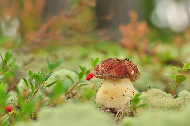 Толстяш :)photo preview