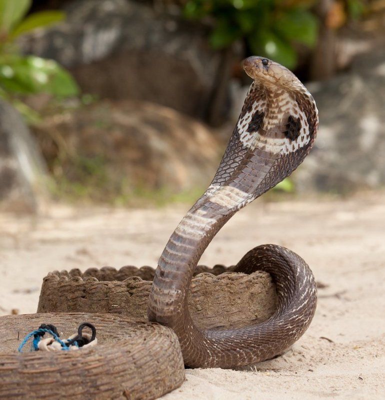 Девушка, Вы так похожи на маму моей жены :)photo preview