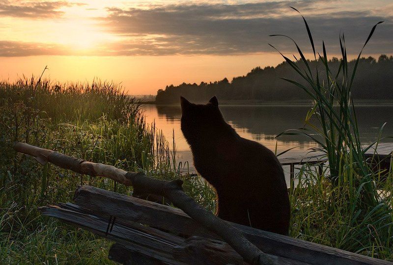 Там живёт рыба......photo preview