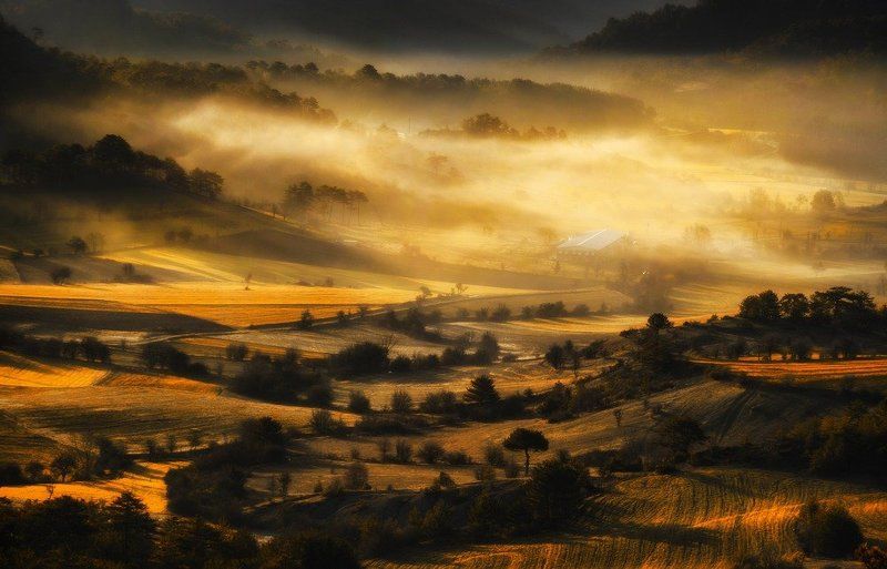 Good Morningphoto preview