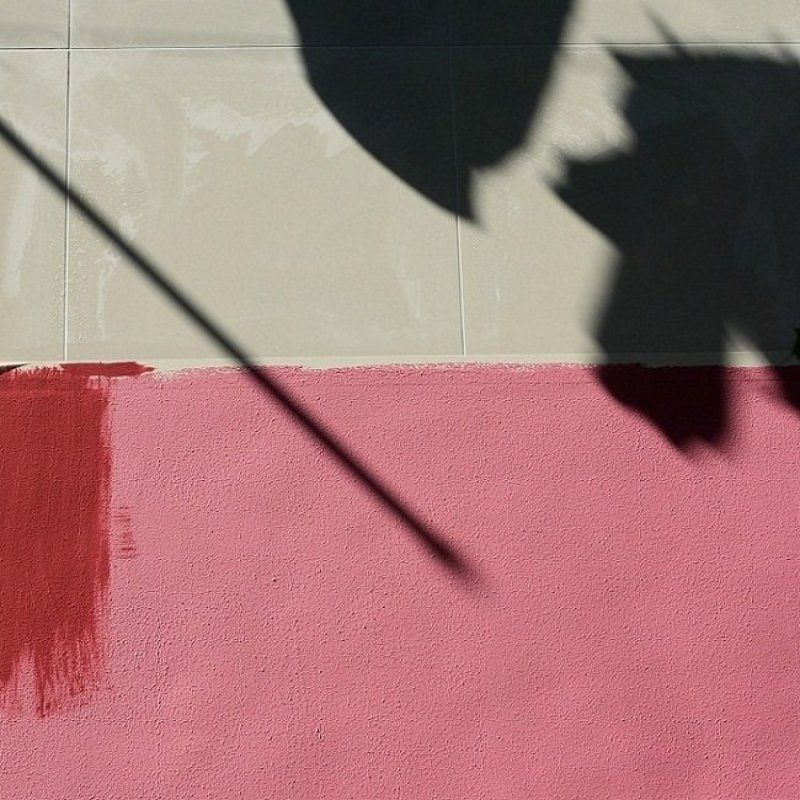 Про коняphoto preview