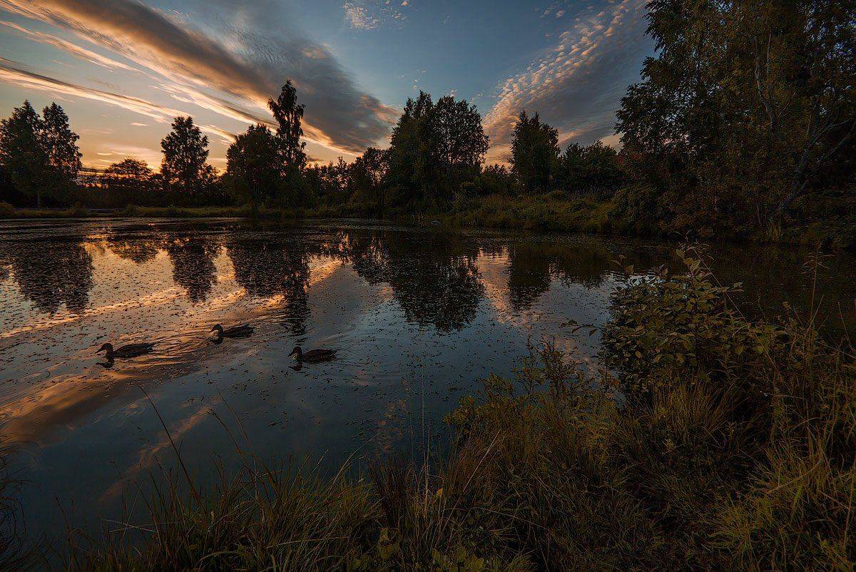 Three. Автор: Аркадий Белов , Аркадий Белов