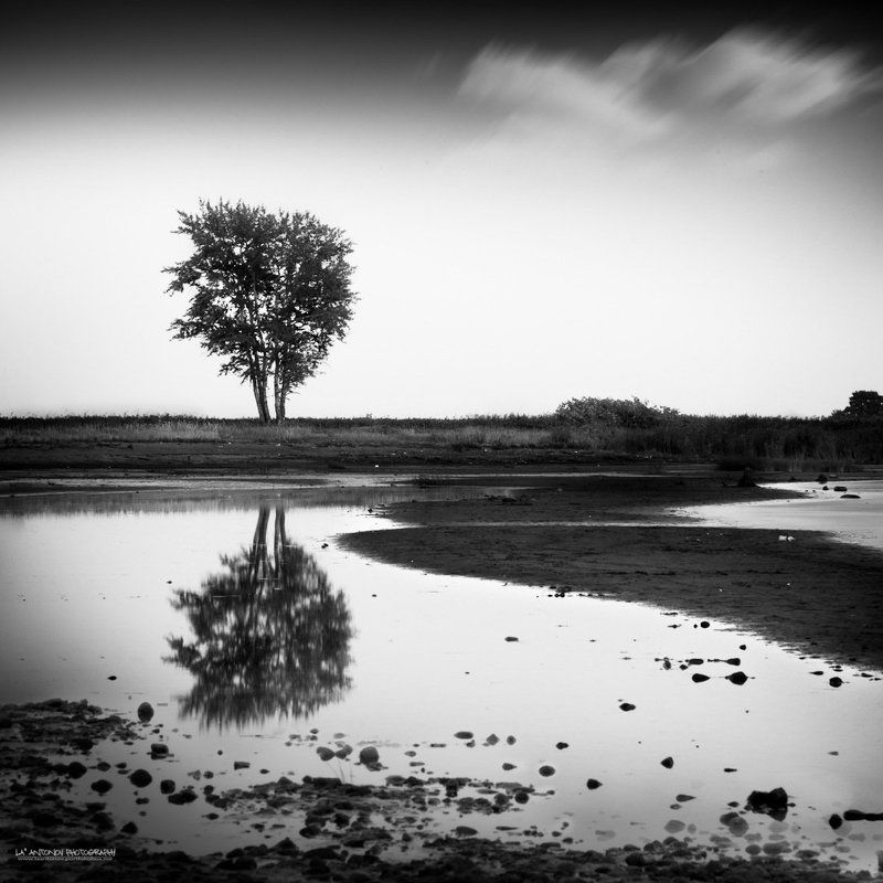 Fox\'s nosephoto preview