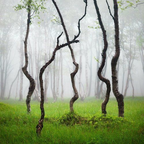 Spring in the Ore mountains