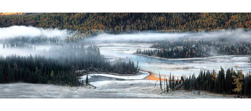 Between autumn and winterphoto preview