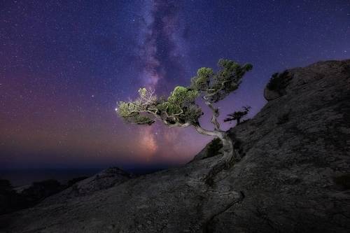 Milky way...