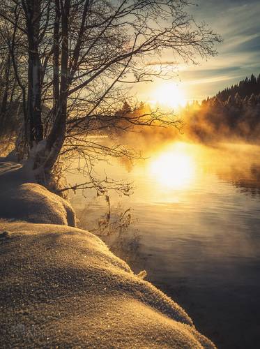 Winter scene