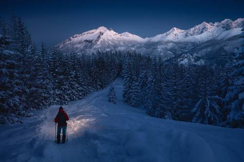 Winter in the Mountains