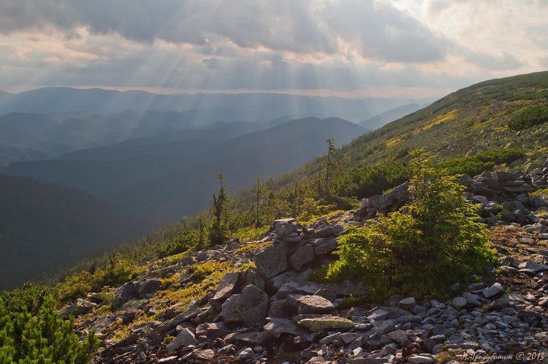 Солнечный душphoto preview