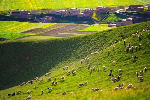 Aba Tibetan House