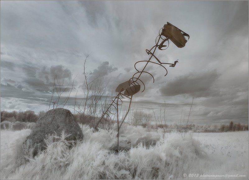 infrared Jurassic Park...photo preview