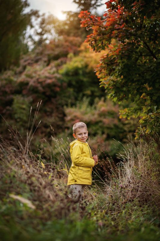 осень, парк, природа, разноцветный, яркий, краски осени, осенний, желтый,  Осенняя прогулка.photo preview