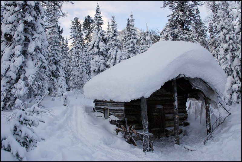 Из зимней сказкиphoto preview