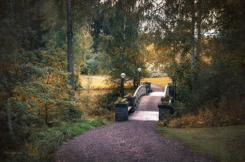 Сумерки в Куурунупуйстоphoto preview