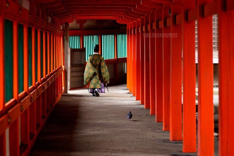 Red Templephoto preview