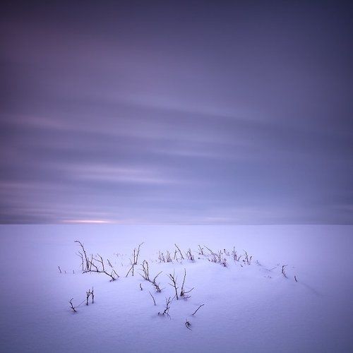 Winter Minimum