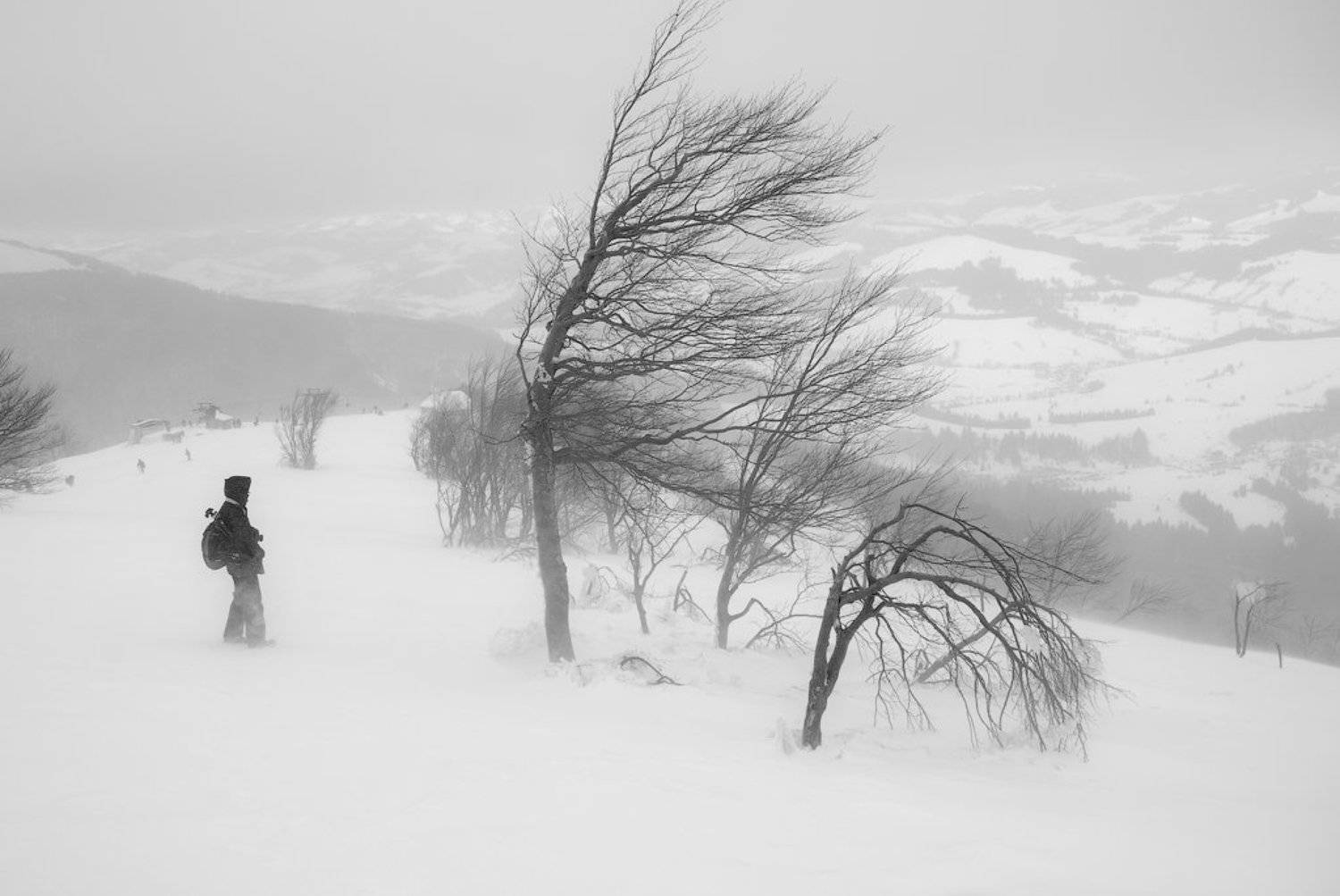 Стихия. Автор: Сорокин Олег Карпаты, Сорокин Олег