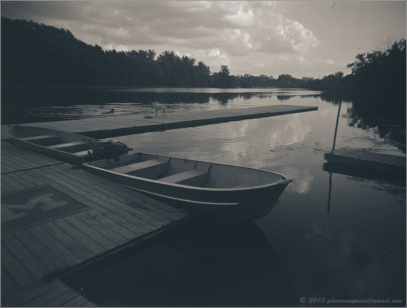 It\'s cold for dogs dude...photo preview