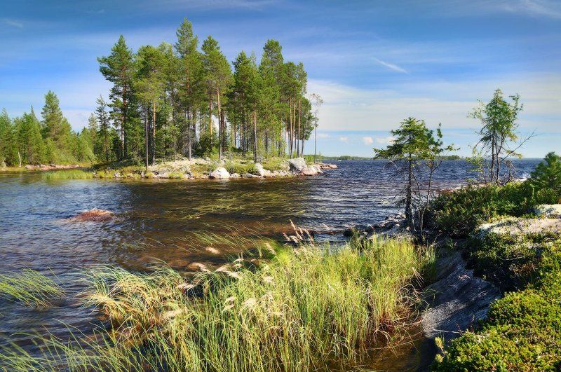 Как я провел лето :)photo preview