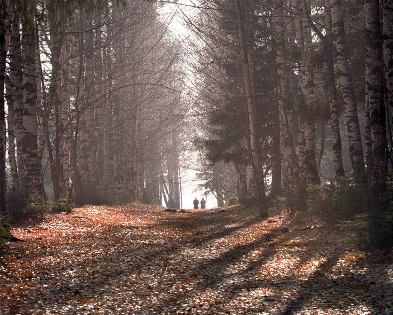 ..осень жизни...photo preview