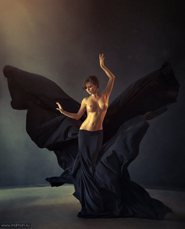 black butterflyphoto preview