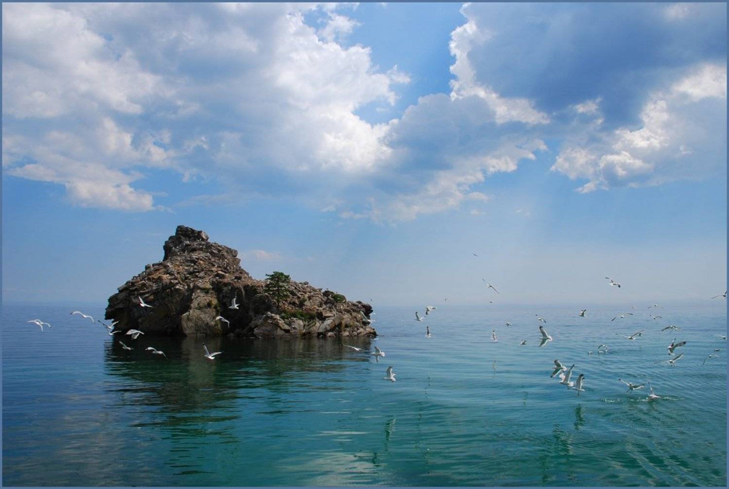 , Владислав Д.