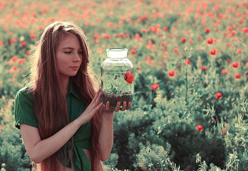 The Scarlet Flowerphoto preview