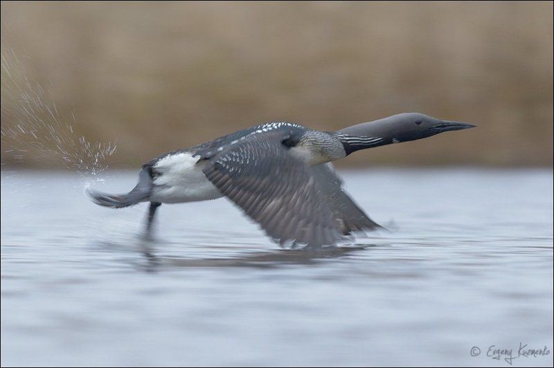 Поехали!photo preview
