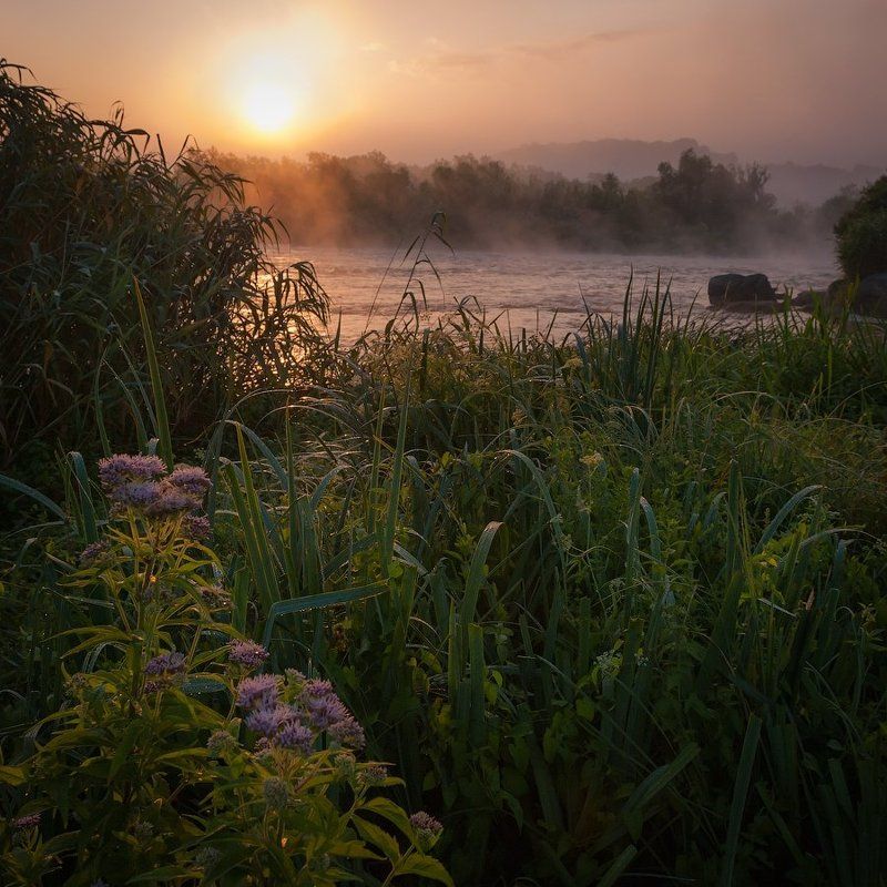 южный, буг Рассветный Бугphoto preview